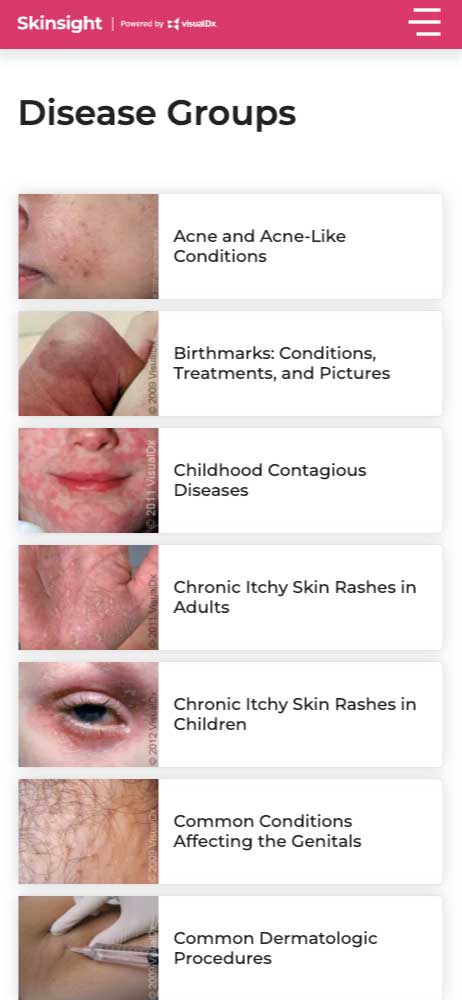 Skinsight Disease Groups
